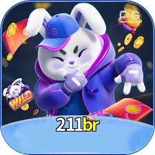 Logo da 211br